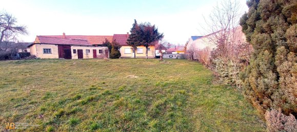 3-salle Terrain à Potzneusiedl, Austria No. 112423 4