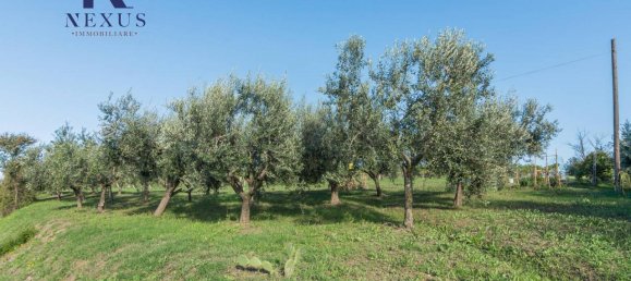 4-salle Maison à Terre Roveresche, Italy No. 133668 34