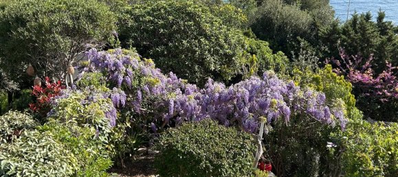 Villa T2 em Saint-Raphael, France N.º 333975 4