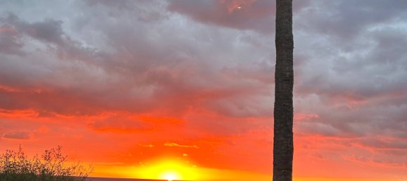 Villa T2 em Saint-Raphael, France N.º 333975 18