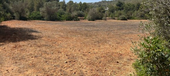 Grundstück in Ibiza, Spain, Nr. 163333 15