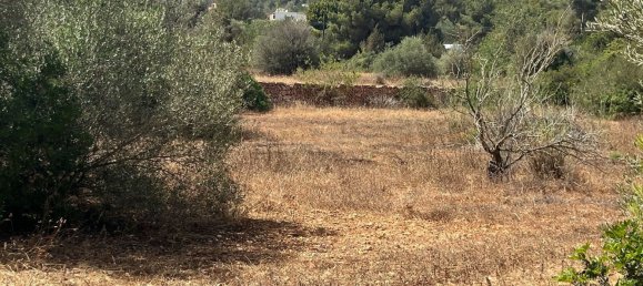 Grundstück in Ibiza, Spain, Nr. 163333 9