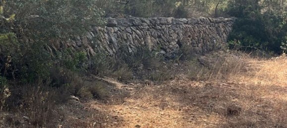 Grundstück in Ibiza, Spain, Nr. 163333 12