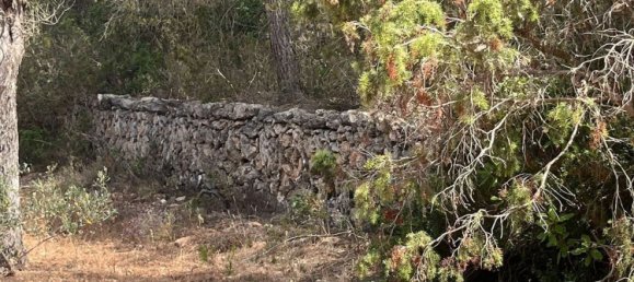 Grundstück in Ibiza, Spain, Nr. 163333 2