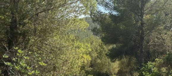 Grundstück in Ibiza, Spain, Nr. 163333 8