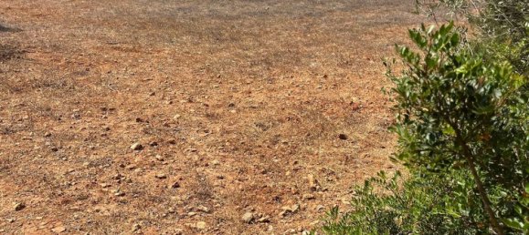 Grundstück in Ibiza, Spain, Nr. 163333 11