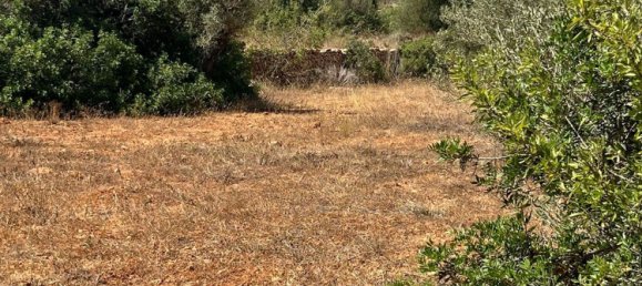 Grundstück in Ibiza, Spain, Nr. 163333 14