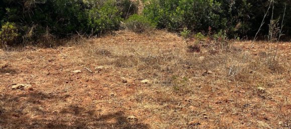 Grundstück in Ibiza, Spain, Nr. 163333 7