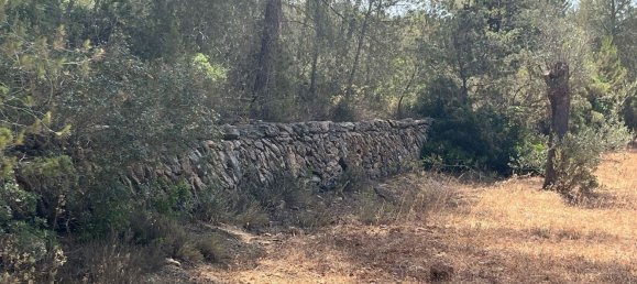 Grundstück in Ibiza, Spain, Nr. 163333 13