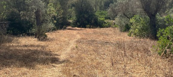 Grundstück in Ibiza, Spain, Nr. 163333 16