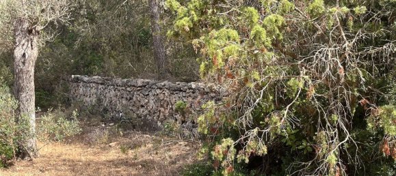 Grundstück in Ibiza, Spain, Nr. 163333 5