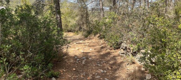 Grundstück in Ibiza, Spain, Nr. 163333 6