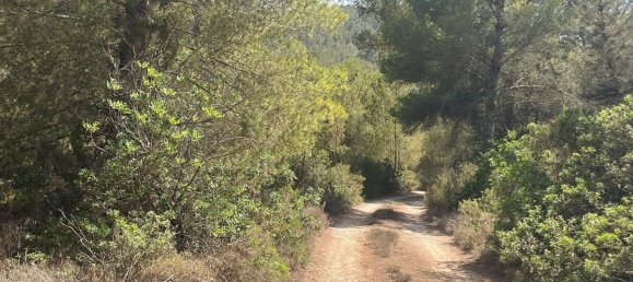 Grundstück in Ibiza, Spain, Nr. 163333 18