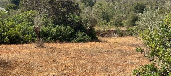 Grundstück in Ibiza, Spain, Nr. 163333 10