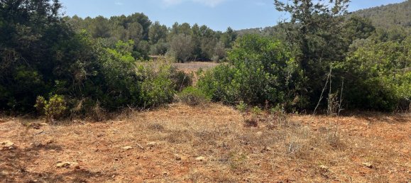 Grundstück in Ibiza, Spain, Nr. 163333 17