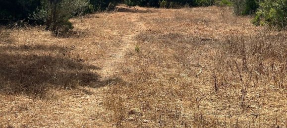 Grundstück in Ibiza, Spain, Nr. 163333 3