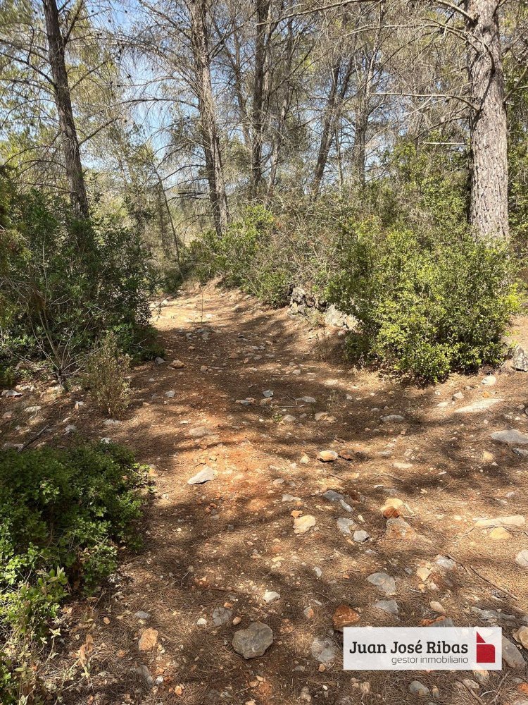 Grundstück in Ibiza, Spain, Nr. 163333