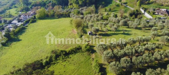 14600m² Land in Mentana, Italy No. 181337 9