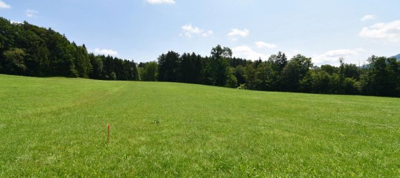 727m² Land in Behamberg, Austria No. 1914 3