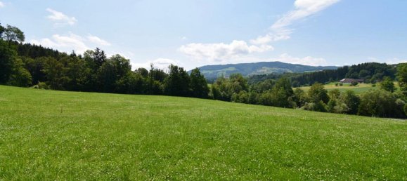 727m² Land in Behamberg, Austria No. 1914 2
