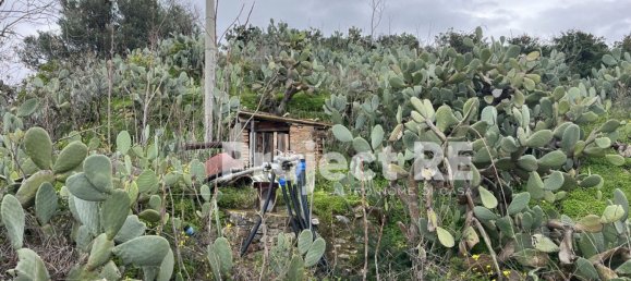 1200m² Land in Reggio Calabria, Italy No. 88789 11