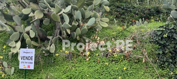 1200m² Land in Reggio Calabria, Italy No. 88789 3