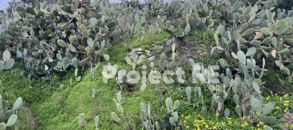 1200m² Land in Reggio Calabria, Italy No. 88789 8