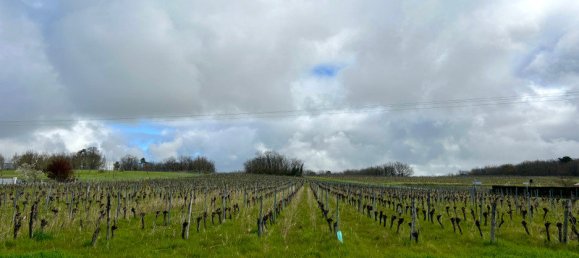 Bungalow T3 em Monestier, France N.º 102154 10