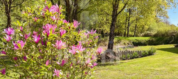 4 Schlafzimmer Haus in Chateauvieux, France, Nr. 75232 2