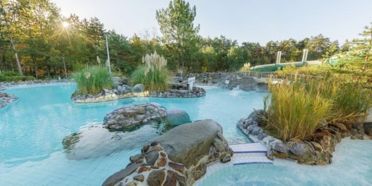 2 Schlafzimmer Wohnung in Chaumont-sur-Tharonne, France, Nr. 91703