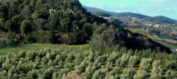 Квартира с 6 спальнями в Роккастрада, Италия № 56064 50