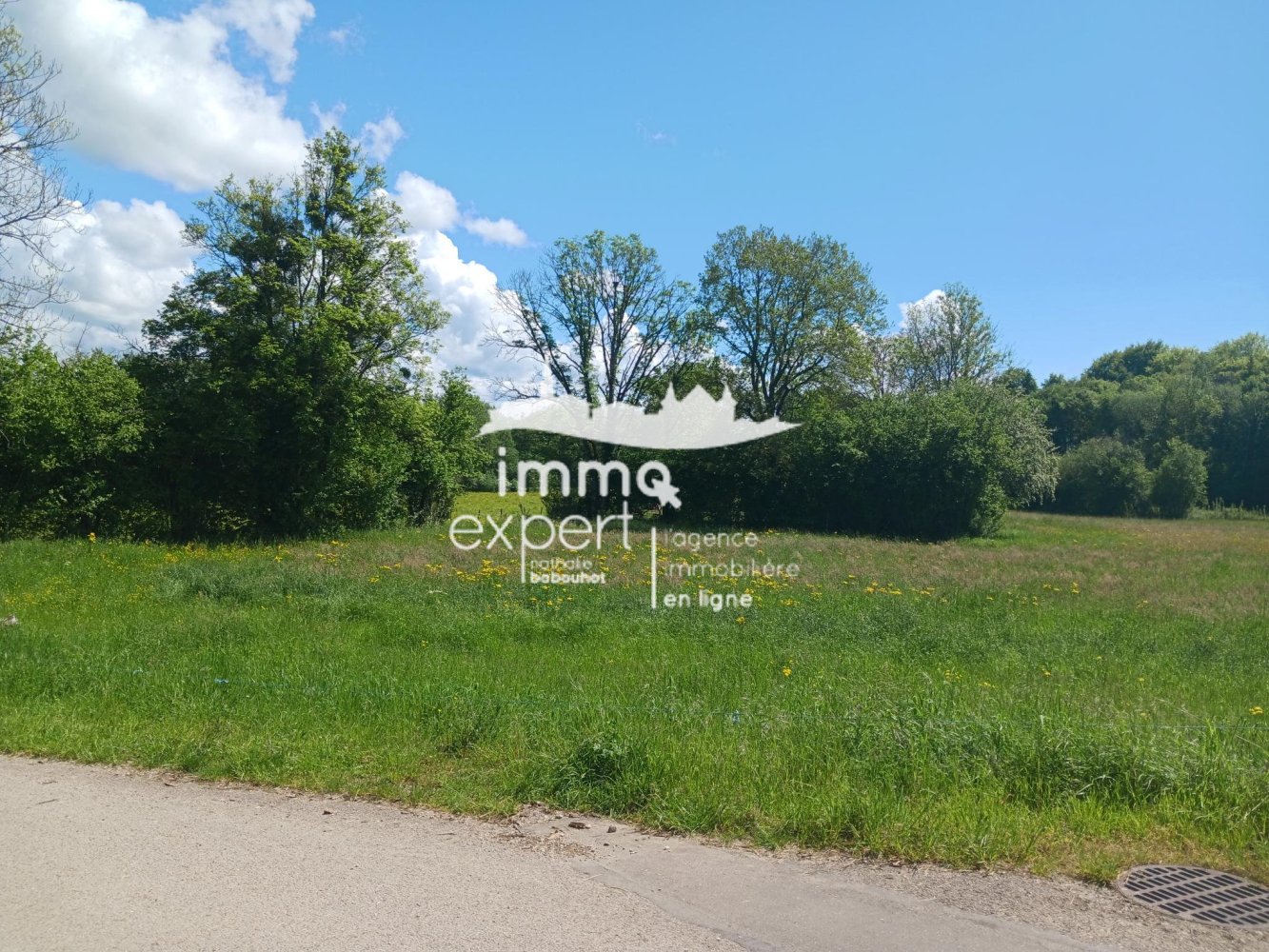  Land in Gorhey, France No. 62410