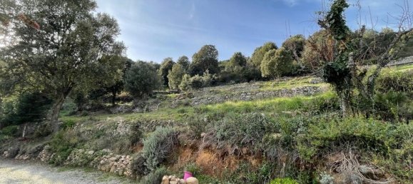 5 bedrooms Villa in Pietrosella, France No. 223195 11