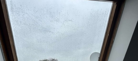 Gebäude in Neuss, Germany 160m², Nr. 249821 30