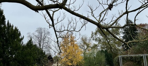 Gebäude in Neuss, Germany 160m², Nr. 249821 2