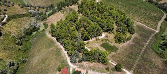  Land in Ripatransone, Italy No. 314601 16