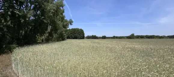  قطعة أرض في Oder-Spree, Germany رقم 291901 3