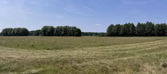  قطعة أرض في Oder-Spree, Germany رقم 291901 2