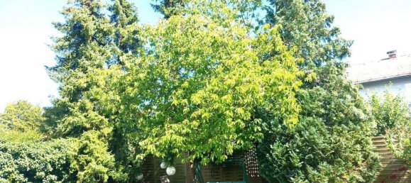 4غرفة شقة في Wels, Austria رقم 140860 21