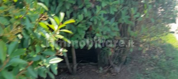 3 bedrooms Villa in Velletri, Italy No. 371198 4