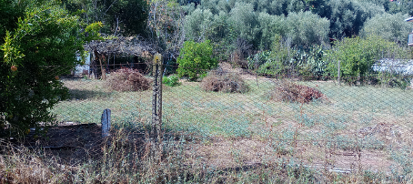 1230m² Land in Rome, Italy No. 309275 4
