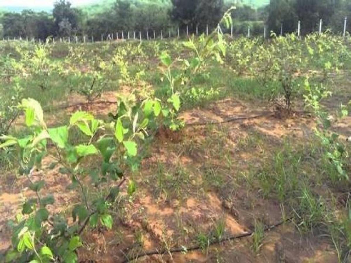  Land in Hyderabad, India No. 33623