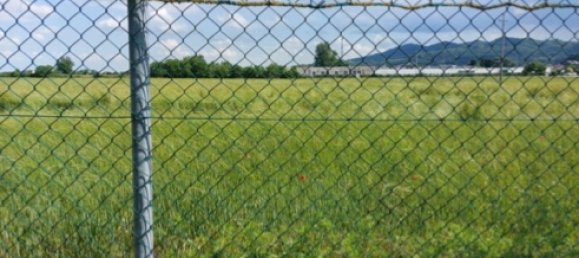 5656m² Land in Malo, Italy No. 304901 3
