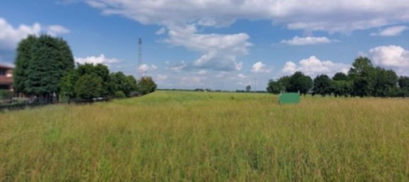 5656m² Land in Malo, Italy No. 304901 2