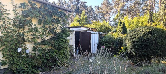 2-salle Bungalow à Anhalt-Bitterfeld, Germany No. 291474 16