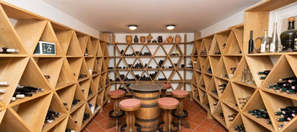 Casa de 3 dormitorios en Ehrenhausen an der Weinstrasse, Austria No. 231498 15