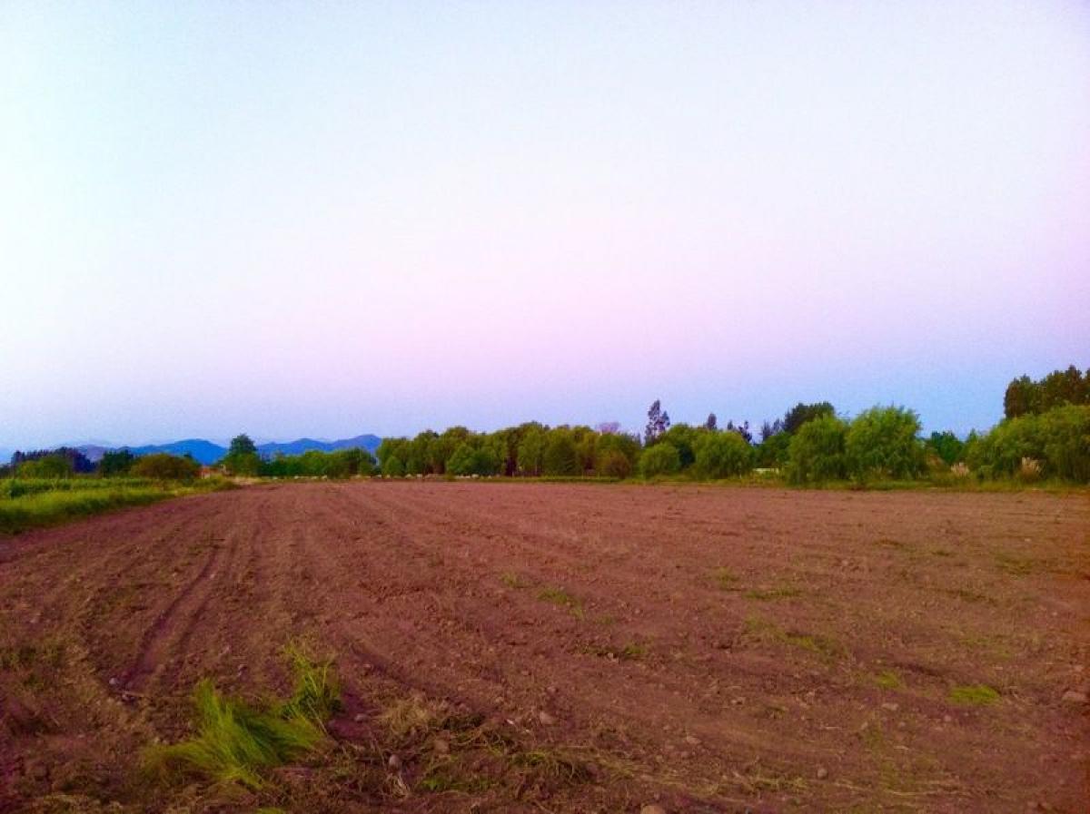 Terrain à Villa O'Higgins, Chile No. 1153
