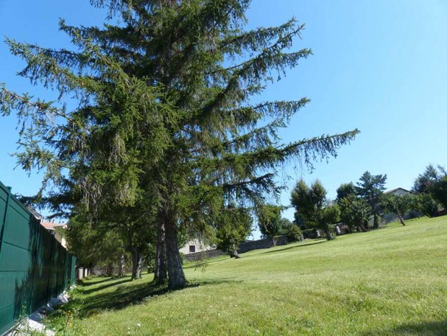 5178m² Land in Le Puy-en-Velay, France No. 321408