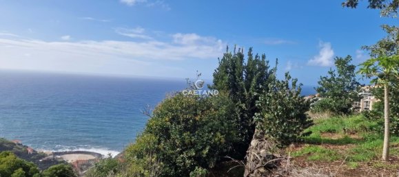  قطعة أرض في Calheta, Portugal رقم 121270 3