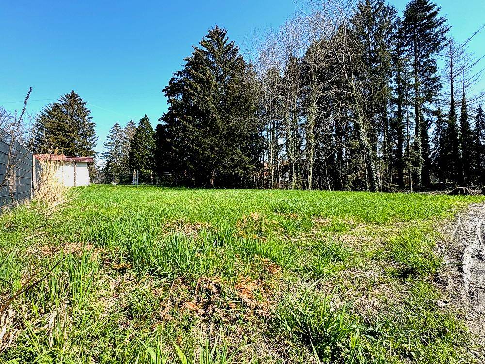 542m² Land in Lustenau, Austria No. 228153